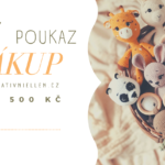 Dárkový poukaz v hodnotě 500